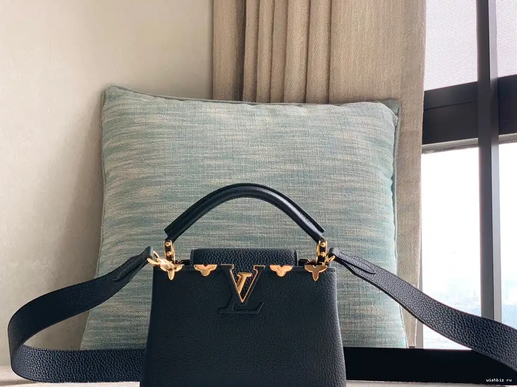 WIS VUITTON CAPUCINES MINI LOUIS 0501